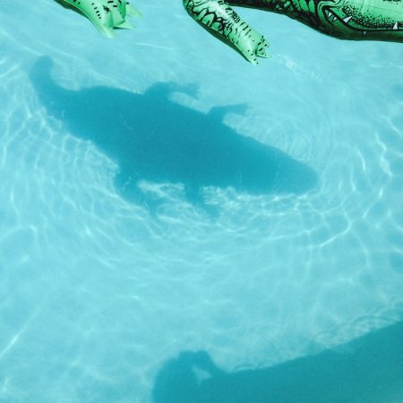 shopping official body